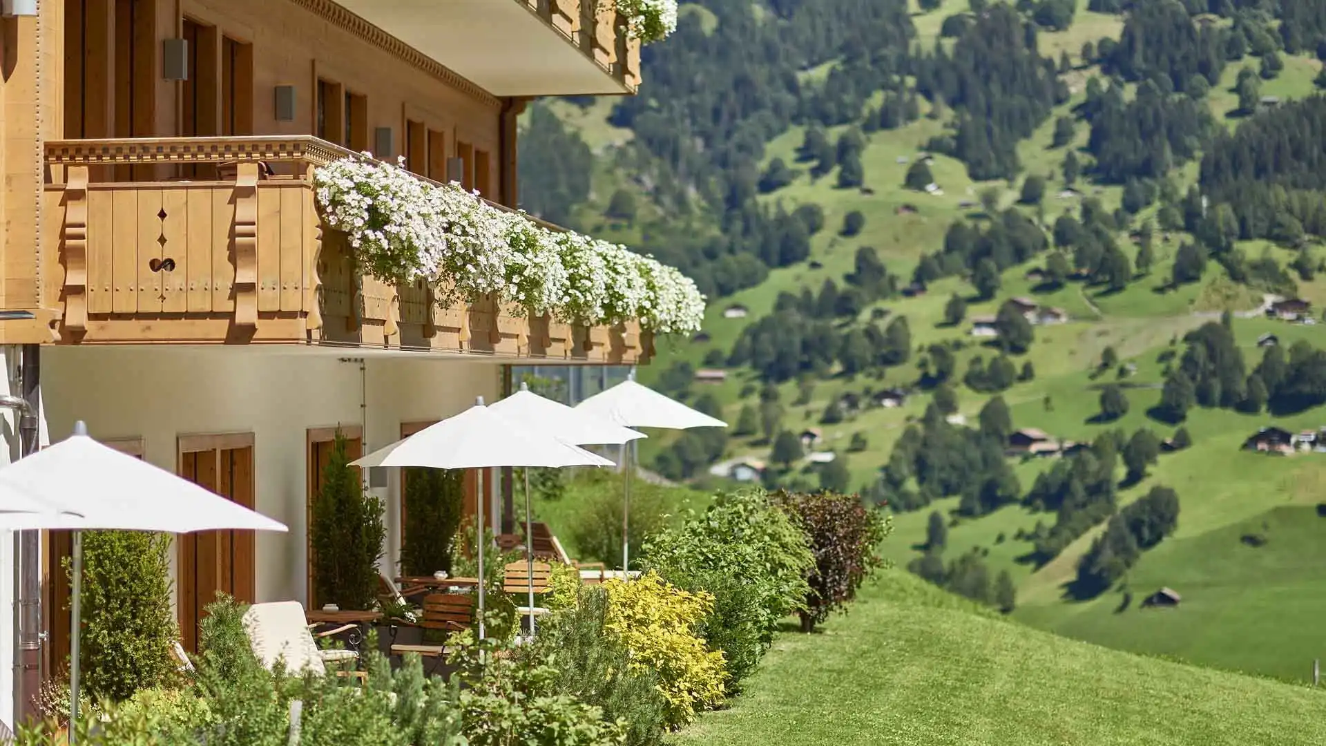 Hôtel Aspen Grindelwald - slide